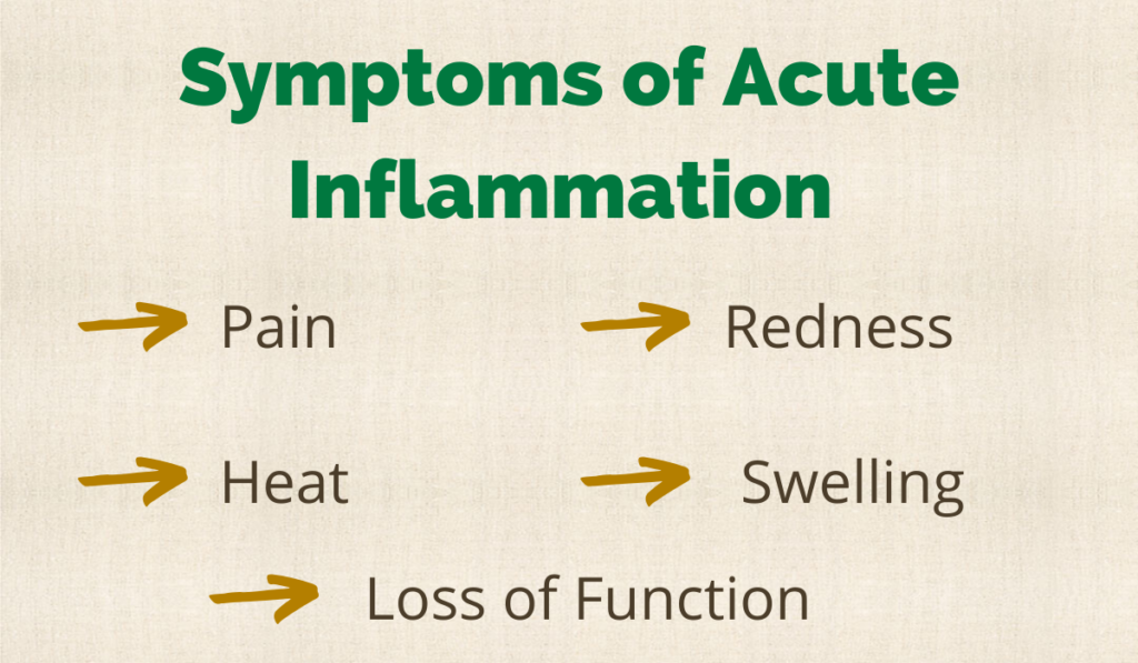 an image explaining the symptoms of acute inflammation