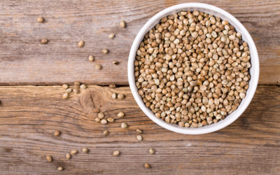 Hemp Seeds: What Are They And What Are Their Benefits?