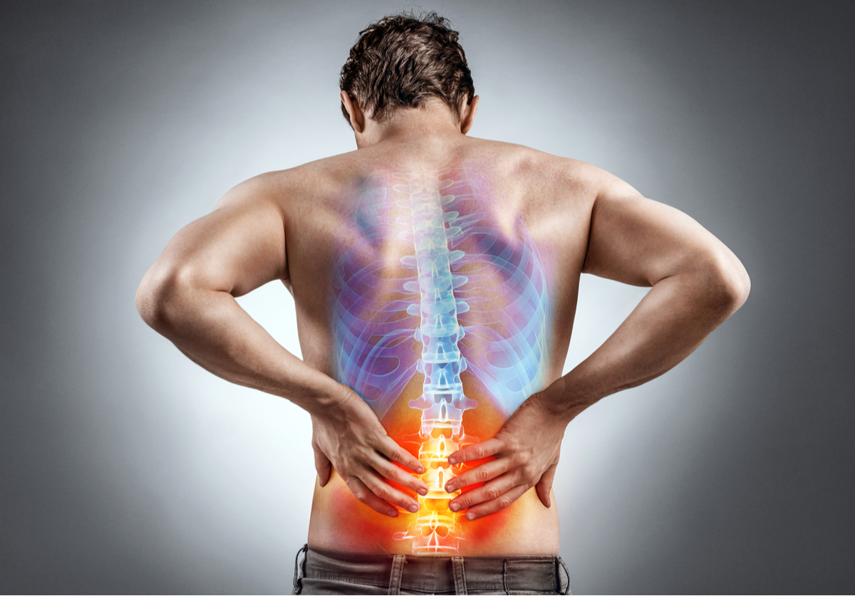 a picture of man's back and his spine showing lower back pain