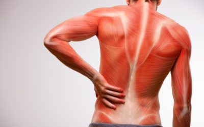 Ultimate Guide to Relieve Sore Muscle Pains