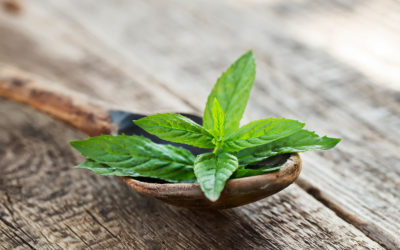 Menthol Pain Relief: How Menthol Can Help To Soothe Pain